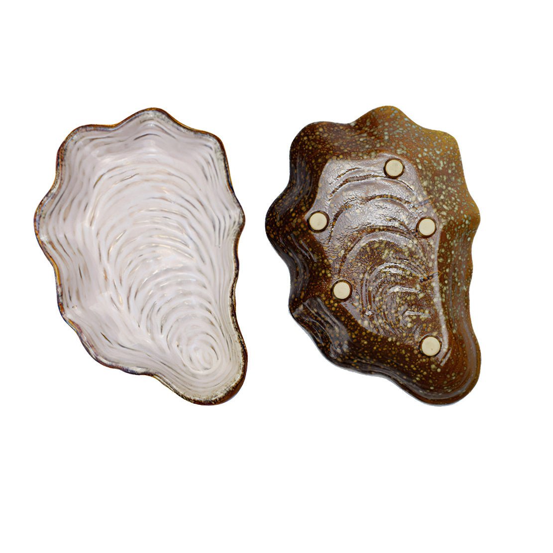 White & brown shell shape ceramic dish